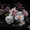 Floral Flowerbouquet tapet i sort og hvid - non-woven tapet Designwalls 2 - 2,55 x 3,5 m