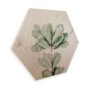 Hexagon Hout Sisi & Seb - Botanisch