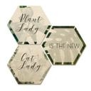 Hexagone - Bois placage de bouleau - Plantlady is the new Catlady (Set de 3)