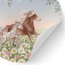 Wallsticker til børneværelset Heste i blomsterengen - Kikki Belle - Rund