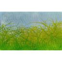Architects Paper Papier peint photo Atelier 47 Thorn hedge graphisme