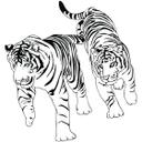Tigere