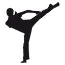 Muursticker Martial Arts 06