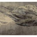 Guido Maria Kretschmer Fotobehang Art Edition Deep Sea Gold