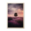 Cuadro de madera Campos de lavanda púrpura al atardecer - Cevik
