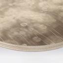 Houten Wanddecoratie Dandelion Dream in Beige - Ms Tiff - Rond