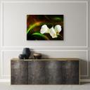 Canvasbillede, Kalien blomsterplanter