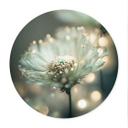 Póster Delicado destello de flores - Treechild - Redondo