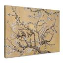 Lienzo van Gogh - Crema de Almendros en Flor