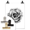 Plakat - Kools - Rose