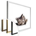Póster gatito juguetón