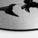 Alu-Dibond Rund Sølveffekt - Ireland - Hummingbird – print på aluminium (Alu-Dibond)