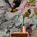Livingwalls Fototapet Walls by Patel Funky Birds 1