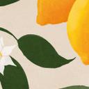Frutas - Boho limonero - Citrus Limonum - fotomural de Tunaboylu