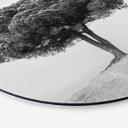 Tableau sur alu-Dibond rond Martin - Arbre en noir et blanc