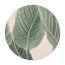 Póster Calathea planta - Sisi & Seb - Redondo