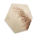 Hexagon Hout Pampasgras