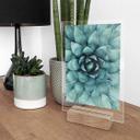 Bordskærm Agave 02