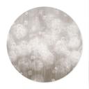 Poster Dandelion Dream in Beige - Ms Tiff - Rond