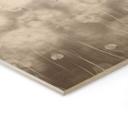 Houten Wanddecoratie paardenbloemen droom in beige - Ms Tiff
