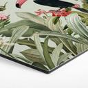 Hexagon Dibond Tukan i et jungleparadis - UN Designs