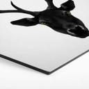 Hexagone - Tableau sur alu-Dibond Ireland - The Cerf noir