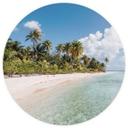 Tropisch - Palmstrand in de Zuidzee - Colombo - Fotobehang rond - vliesbehang/zelfklevend vliesbehan