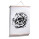 Plakat - Kools - Rose