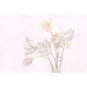 Fotomural Paredes de Patel 3 Morning Room 1 morado, amarillo, beige, gris, rosa