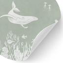Wallsticker Koralrev og havdyr - En rejse ind i det grønne - Kikki Belle - Round