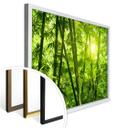 Poster - Rayon de soleil dans la forêt de bambous