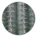 Tableau sur alu-Dibond rond 1X Studio - Cactus