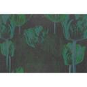 Architects Paper Papier peint photo Atelier 47 Tulip Artwork fleurs