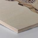 Hexagone - Bois placage bouleau - Kvilis - Crâne Boho 