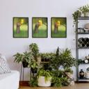Plakater van Duijn - Egern med blomst