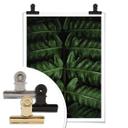 Plakat - Botanical 02