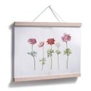 Plakat - Anemoner
