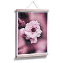 Plakat - Blomsterpragt - detaljer