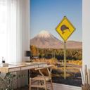 Fototapet - Colombo - Vejskilt i New Zealand