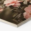 Hexagone - Bois Annie - Roses
