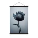 Póster de tela de tulipán de terciopelo en negro - Paksoylu