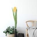 Sticker mural Tulipe jaune 