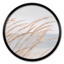 Plakat Dune Grass