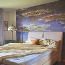 Fototapet - Monet - Vandliljer 1905
