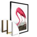 Póster Flamenco rosa