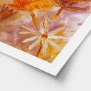 Plakat Golden Blossom Rush - Pomata