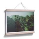 Plakat - Jungle Bridge