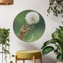 Muursticker Rond Dick van Duijn - Eekhoorn met Paardenbloem