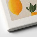 Lienzo Boho limonero - Citrus Limonum - Tunaboylu
