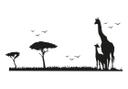 Safari 2